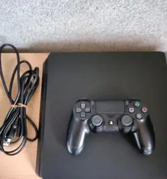 PS4 本体　Slim 本体一式 動作確認済み すぐ遊べるセット