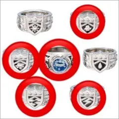 家庭教師ヒットマンリボーン　ボンゴレリング5種