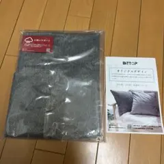 Item thumbnail for item 3e9787bc-ace8-473a-b72a-5177fcf38032