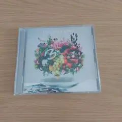 Mrs.GREEN APPLE5