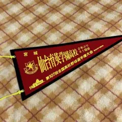 習志野高校 第91回選抜高校野球大会 記念ペナント - メルカリ