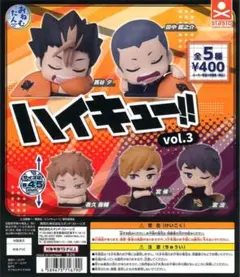 おねむたん ハイキュー!! vol.3 田中龍之介