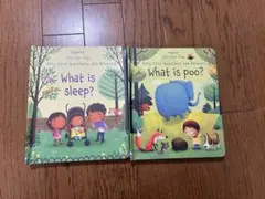 Usborne 英語絵本「うんち＆ねんね」2冊セット 仕掛け絵本