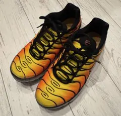 Nike Air Max Plus オレンジ/イエロー