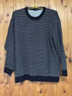 ゼ*ト様 アーバンリサーチ　バーズアイ　ニット セーター LLビーン風　Lサイズ