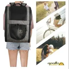 Item thumbnail for item ff9f16bd-7663-43c6-af29-0b549cd563c1