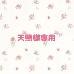 天照様 リクエスト 2点 まとめ商品