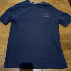 Patagonia パタゴニア　Tシャツ2枚セット売り