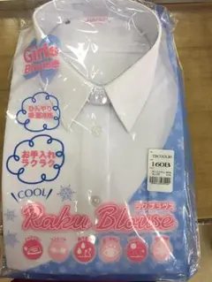 Item thumbnail for item a4d89306-b5f6-4e7b-ac0d-6f4afcd286f8