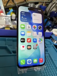 リ*ン様 動作確認済み iPhone 15 Plus 256GB バッテリー86