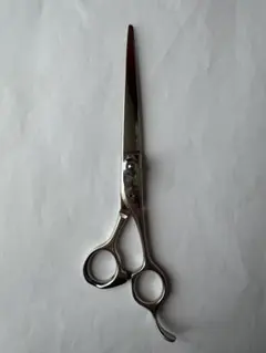 2026年最新】菊水 シザーの人気アイテム - メルカリ