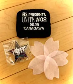 Item thumbnail for item e9f8ed61-0ae7-4908-8497-d8304be24775