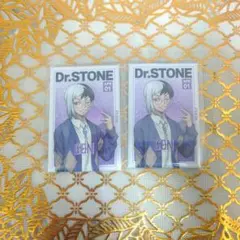 Dr.STONE くじ引き堂 読書の秋 缶バッジ ゲン