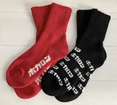 履くホカロン　総パイルソックス　２足セット 23-25cm