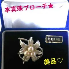 美品(*^^*)本真珠ブローチ★専用ケース付き!!!