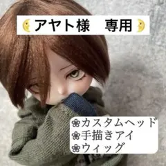 アヤト様専用　カスタムドール　カスタムヘッド/手描きアイ/ウィッグ　セリアドール