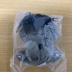 ハイキュー アニマル ぬいぐるみ　クロ