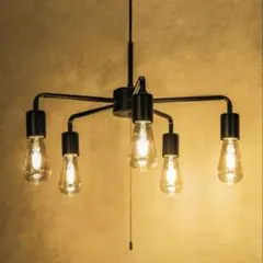 ニトリ6灯ペンダントライト セイスBK274P-6（電球付き) 美品 - メルカリ