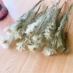 sara.kazu.0829様 リクエスト 2点 まとめ商品