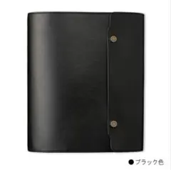 Item thumbnail for item 95fba4f6-c13c-4948-b8e4-e998b475cc08