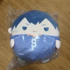 ハイキュー!! くじメイト ぬいくじ 影山飛雄 A賞