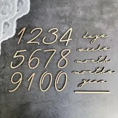 Item thumbnail for item f3e2ef44-efe6-4ecc-b7b5-3550878cb82a