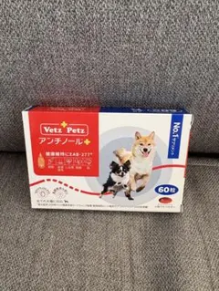 アンチノールプラス60粒2箱 - メルカリ