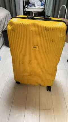 クラッシュバゲージ　ジャンク品 2025年最新】クラッシュ バゲージ Crashの人気アイテム - メルカリ