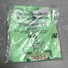 2024名古屋ウィメンズマラソン完走賞 Tシャツ