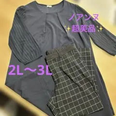 noannu ノアンヌ 大きいサイズ ２点セット