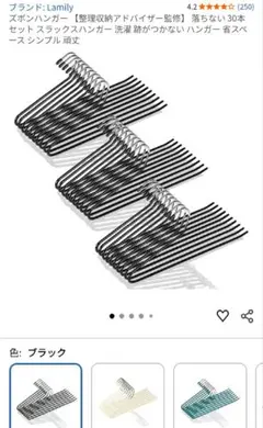 【整理収納アドバイザー監修】 ズボンハンガー ブラック30本 グレー19本