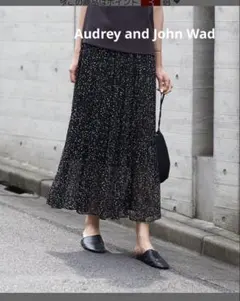 【Audrey and John Wad】楊柳シフォンドットプリーツスカートのサムネイル