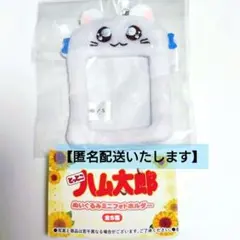 【匿名配送】とっとこハム太郎　ぬいぐるみミニフォトホルダー　リボンちゃん