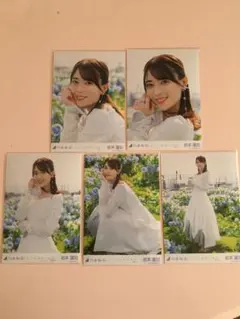 2026年最新】岩本蓮加 生写真の人気アイテム - メルカリ