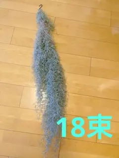 スパニッシュモス ウスネオイデス エアープランツ 吊り下げ 18束