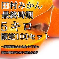 最終時期限定一名様❤️味濃く甘〜いみかん❤️有田田村みかん❤️5kg❤️3