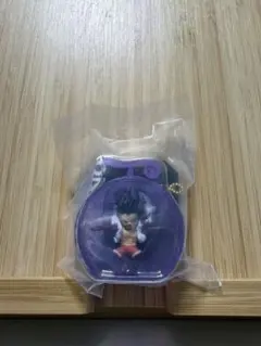 ワンピの実ミクロ　ギア４