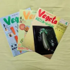 値下げ　野菜と健康の情報誌 Vegeta 3冊セット 1990、1992年