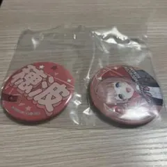 セガラッキーくじ プロセカ 望月穂波 缶バッジ