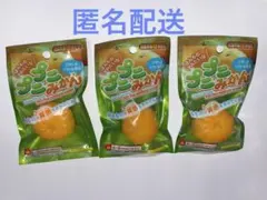 ほんものみたいな　ぷにぷにみかん スクイーズ 3個　プニプニみかん