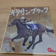 2026年最新】競馬mini色紙の人気アイテム - メルカリ