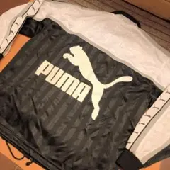 Item thumbnail for item 9d94ee21-3dd4-41b2-95bc-08a31a3fb66c