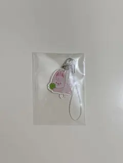 straykids スキズ ペンミ 入場特典 ウルフチャン バンチャン