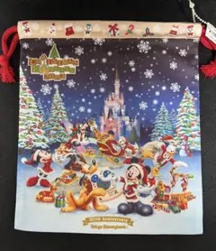 ディズニーランド クリスマス
