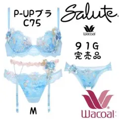 2026年最新】ワコールサルートc75の人気アイテム - メルカリ