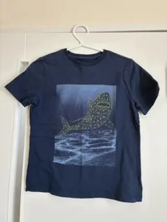 GAP ネイビー シャークプリント Tシャツ M 8-9 (130cm-)