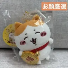 2026年最新】ハチワレ 招福の人気アイテム - メルカリ