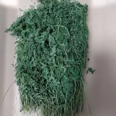 Item thumbnail for item af92eaee-e6bd-4884-b23d-b87bda20dce3