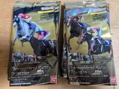 Thoroughbred Horse Collection 第4R
