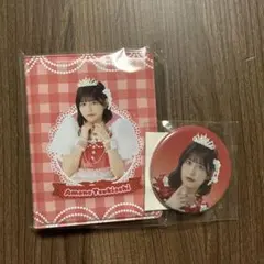 FRUITS ZIPPER 月足天音 チェキファイル 缶バッチ